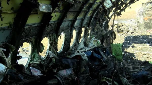 Обгоревший фюзеляж самолета компании Аэрофлот Sukhoi Superjet-100 на летном поле в аэропорту Шереметьево