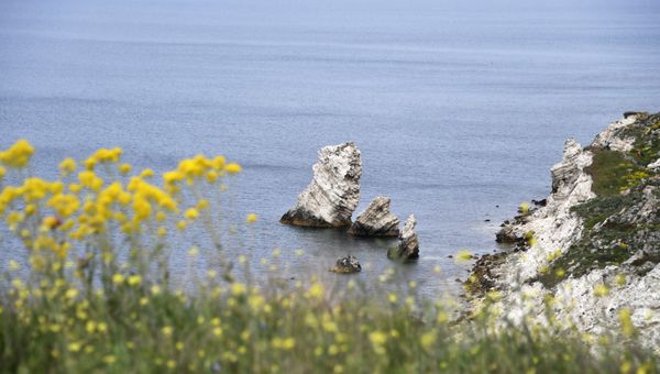 Джангульское оползневое побережье в поселке Оленевка в Крыму Джангульское оползневое побережье в поселке Оленевка в Крыму