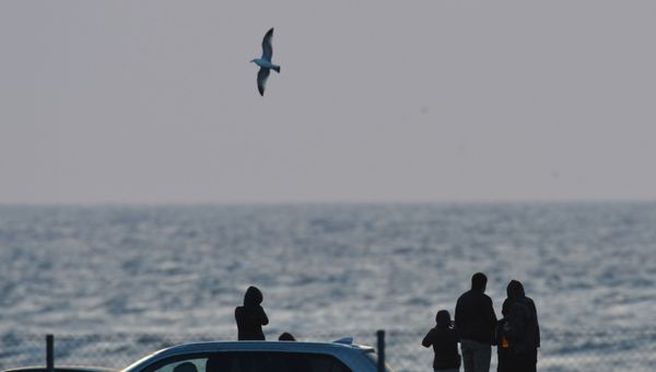 Отдыхающие на пляже в поселке Оленевка в Крыму