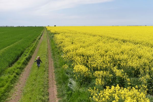 Девочка бежит по дороге через цветущее поле в Крыму Девочка бежит по дороге через цветущее поле в Крыму