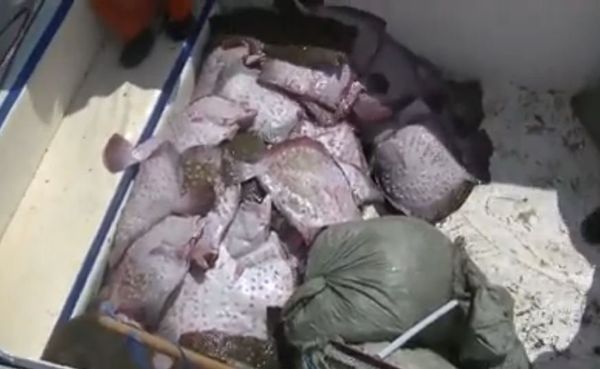 Незаконная рыбалка: в Крыму задержали две бригады браконьеров