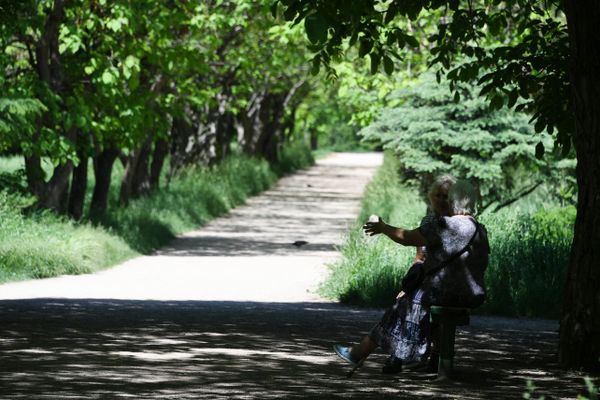 Женщины отдыхают в Ботаническом саду в Симферополе