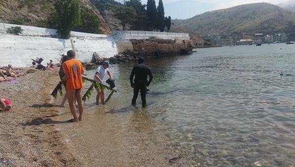 Акваторию у пляжа Мраморный в Балаклаве очистили от мусора Акваторию у пляжа Мраморный в Балаклаве очистили от мусора