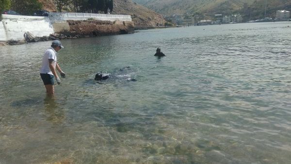 Акваторию у пляжа Мраморный в Балаклаве очистили от мусора Акваторию у пляжа Мраморный в Балаклаве очистили от мусора