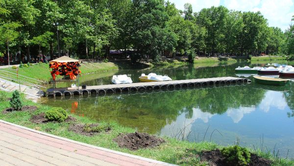 В Симферополе из парка имени Гагарина украли 42 дерева и кустарника