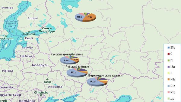 Распределение гаплогрупп среди русских популяций. Гаплогруппа — совокупность вариантов геномов, присутствующих в популяции, которая указывает на предков. Диаграммы показывают сходство геномов центральных и южных русских, донских казаков. У жителей Архангельской области резко выделяется гаплогруппа N1c (коричневый), свойственная финно-уграм