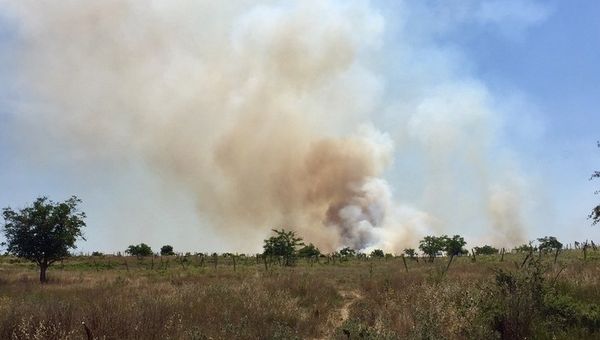 Пожар на заброшенных виноградниках под Севастополем