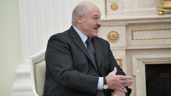 Президент Белоруссии Александр Лукашенко во время встречи с президентом РФ Владимиром Путиным