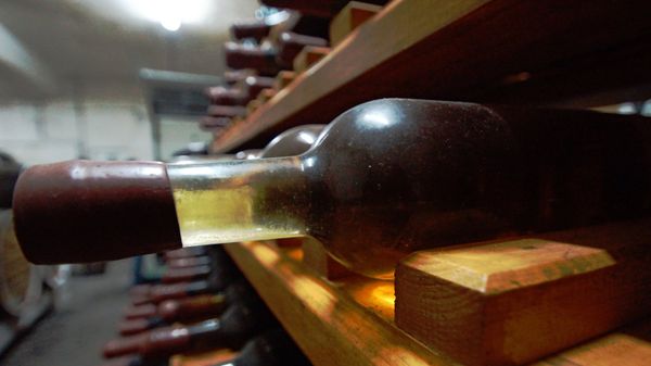 Бутылка с вином на стеллаже погреба винодельни. Архивное фото Бутылка с вином на стеллаже погреба винодельни. Архивное фото