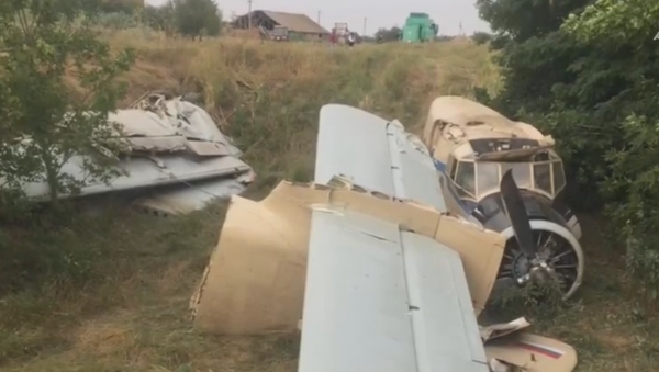 Обломки легкомоторного самолета Ан-2 в Ставропольском крае Обломки легкомоторного самолета Ан-2 в Ставропольском крае