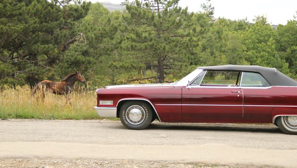 Cadillac по дороге на Ай-Петри Cadillac по дороге на Ай-Петри