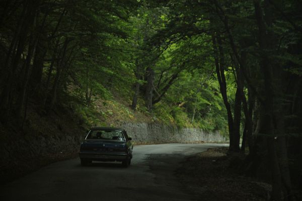 Dodge Diplomat на дороге к плато Ай-Петри Dodge Diplomat на дороге к плато Ай-Петри