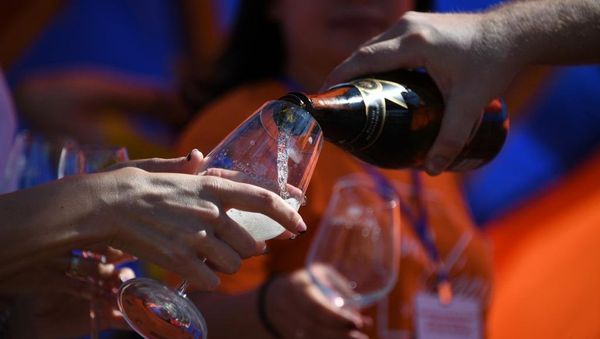 Фестиваль In Vino Veritas в Коктебеле