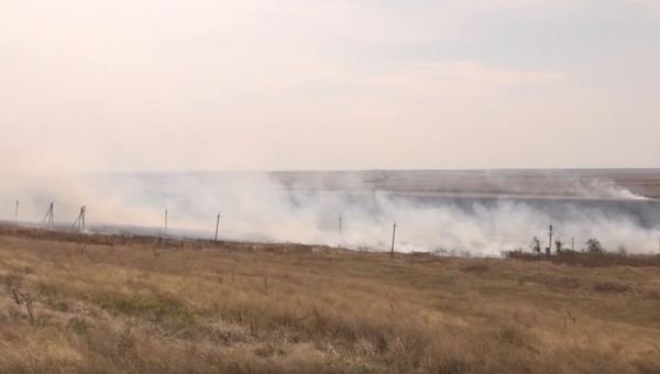 Ликвидация пожара на поле в Ленинском районе
