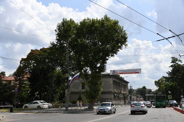 Деревья в центре Симферополя