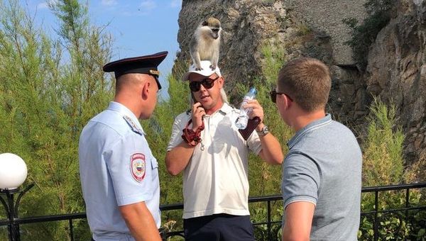 Рейд по пресечению фактов использования животных для оказания фотоуслуг