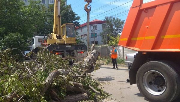 В Симферополе ликвидируют последствия шторма В Симферополе ликвидируют последствия шторма