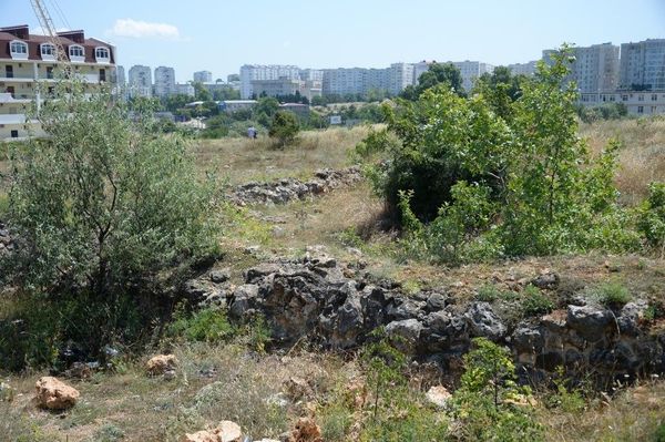 Фундамент античной усадьбы, проросший сорняками, кустарниками и деревьями
