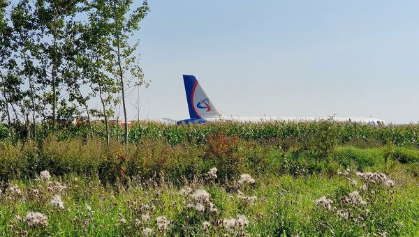 Самолет А321 после вынужденной посадки