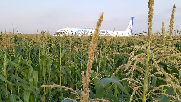 Самолет А321 после вынужденной посадки Самолет А321 после вынужденной посадки