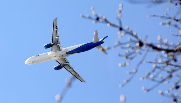 Самолет Airbus A321 Самолет Airbus A321