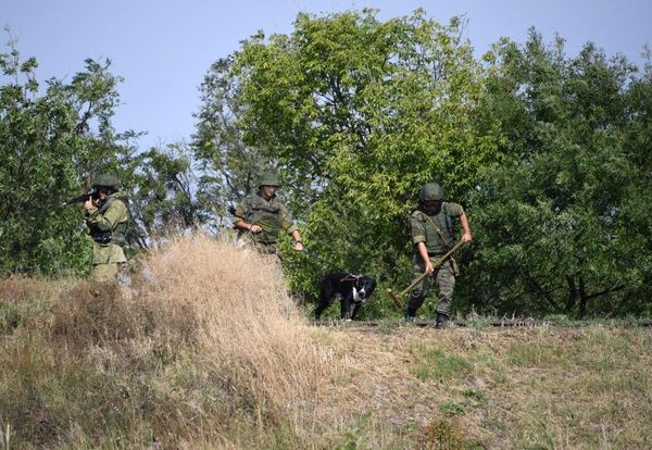 Совместные учения военной полиции и ВАИ в Крыму Совместные учения военной полиции и ВАИ в Крыму