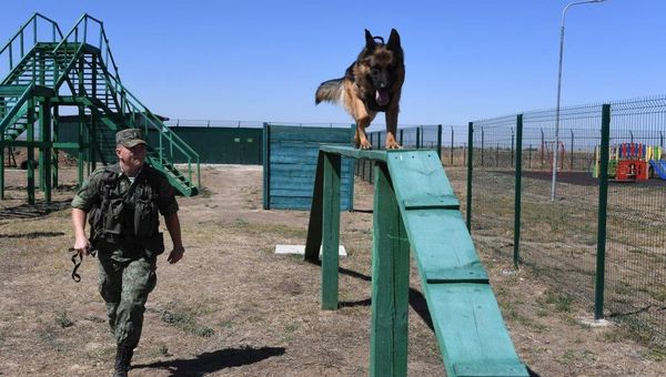 Служебная собака на пограничной заставе на севере Крыма Служебная собака на пограничной заставе на севере Крыма