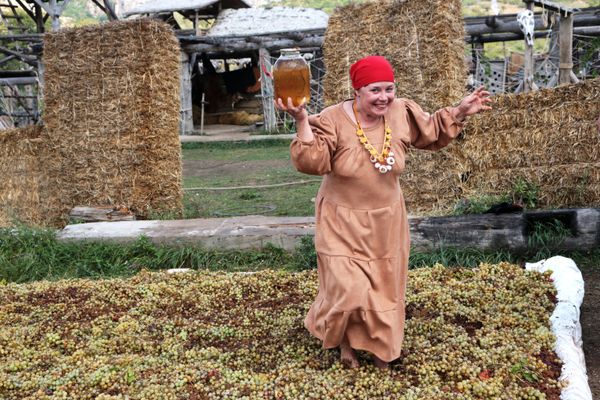 Женщина давит виноград на Празднике Винограда в селе Перевальное Симферопольского района
