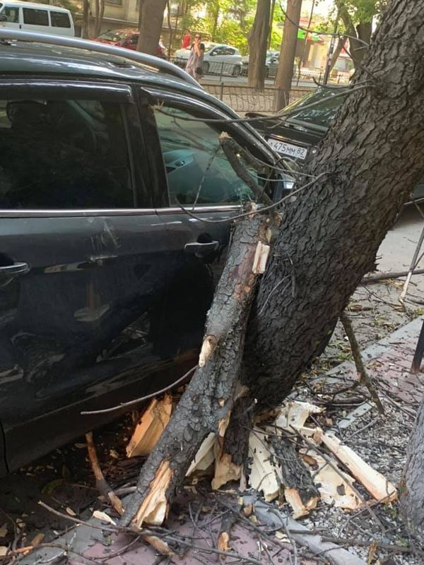 В центре Симферополя сухое дерево повредило автомобиль и многоэтажку