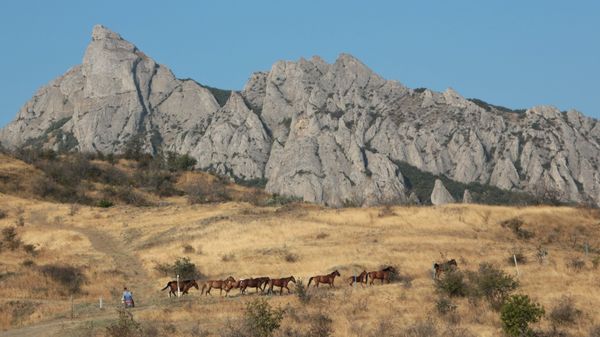 Лошади на горе Кара-Даг в Крыму