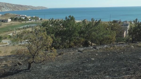 Последствия крупного пожара близ поселка Орджоникидзе