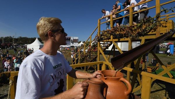Праздник сбора урожая и виноделия WineFest-2019