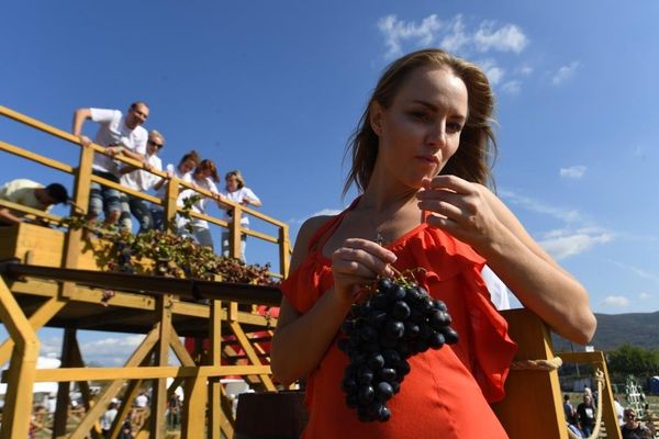 Праздник сбора урожая и виноделия WineFest-2019