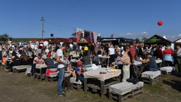 Праздник сбора урожая и виноделия WineFest-2019