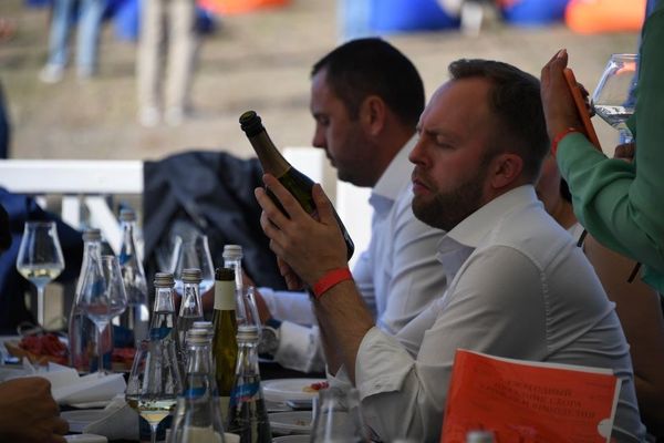 Праздник сбора урожая и виноделия WineFest-2019