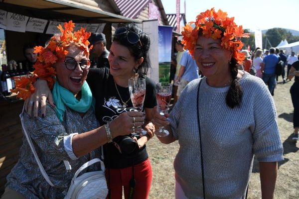 Праздник сбора урожая и виноделия WineFest-2019