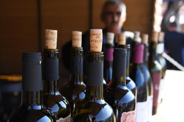 Праздник сбора урожая и виноделия WineFest-2019