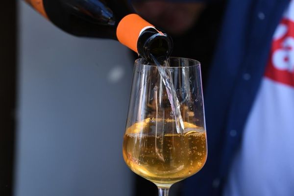 Праздник сбора урожая и виноделия WineFest-2019