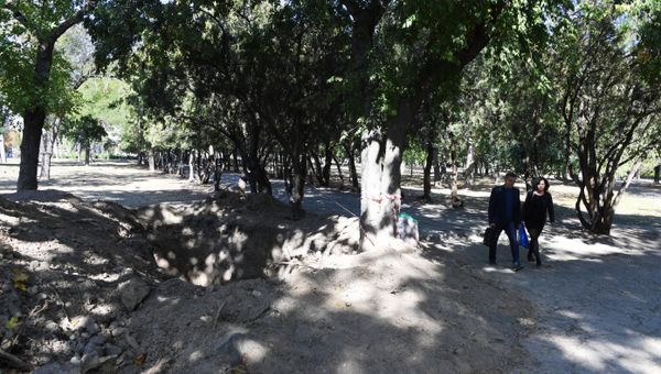 В парке в центре Симферополя обнаружили человеческие останки
