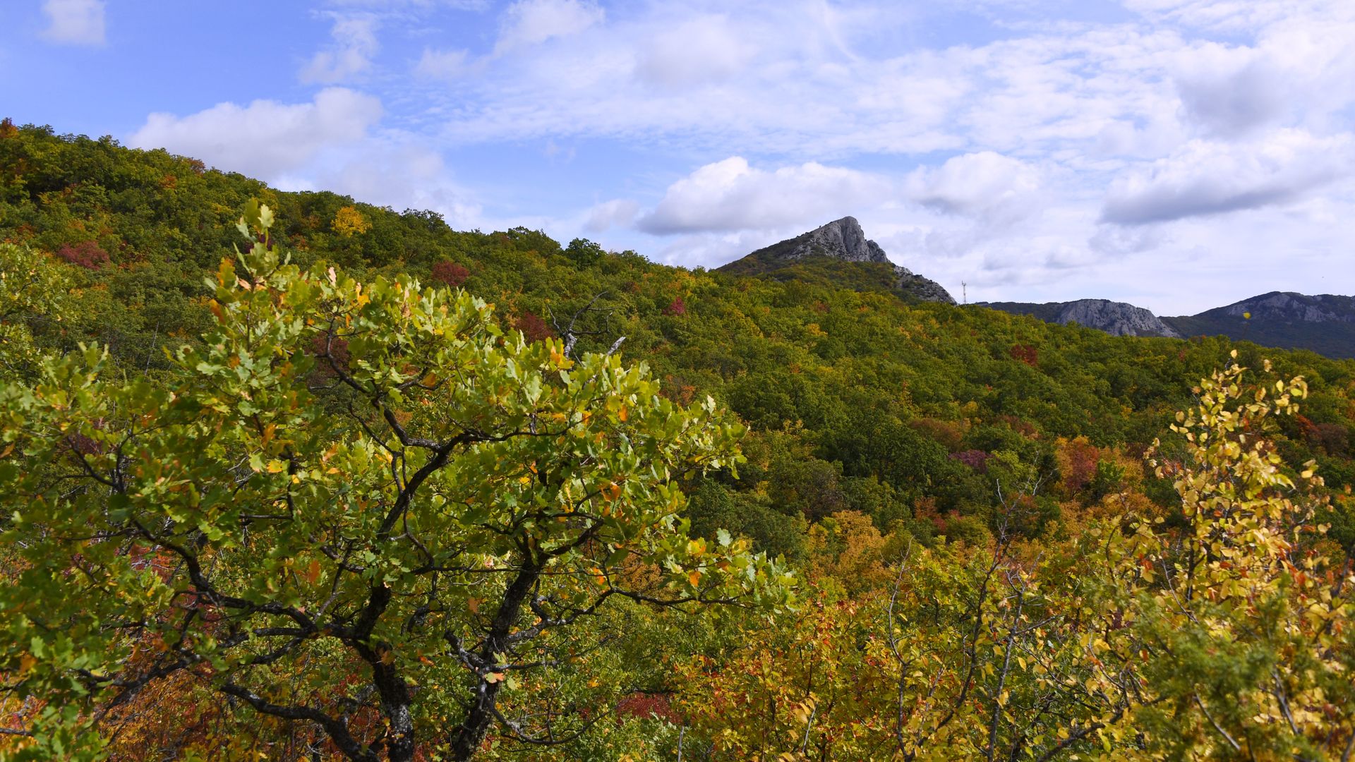 Осень в Крыму. - РИА Новости, 1920, 23.09.2021