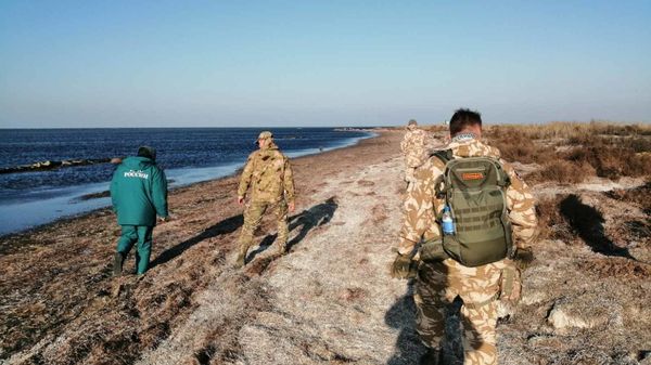 Поиск ребенка в Раздольненском районе