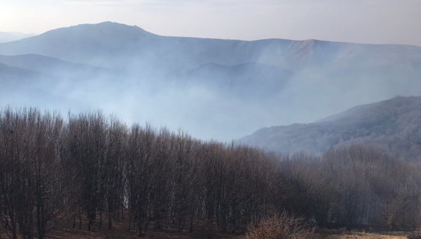 Лесной пожар в Симферопольском районе Крыма, 15 ноября 2019 года