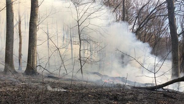 Пожар в урочище Даир-Алан в Крыму