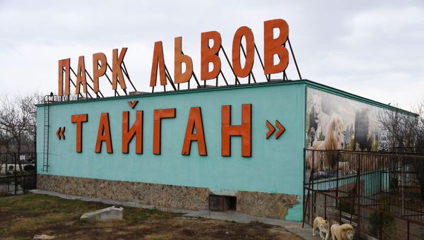 Сафари-парк Тайган в Белогорске