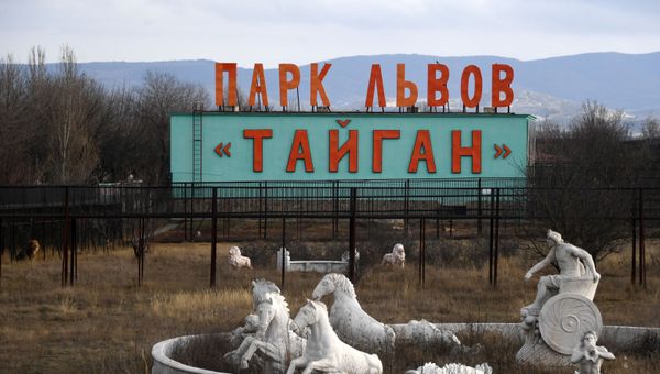 Сафари-парк Тайган в Белогорске