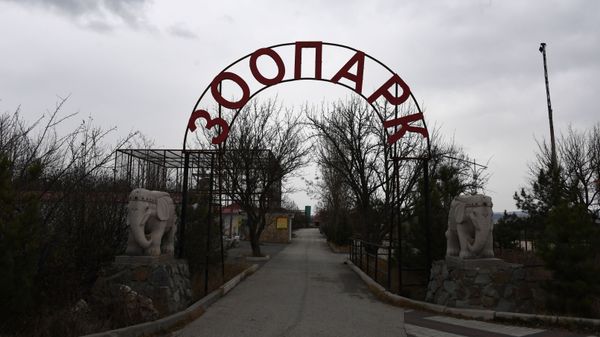 Сафари-парк Тайган в Белогорске