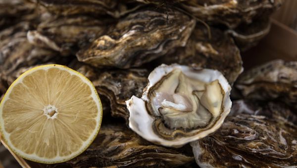 Морепродукты. Архивное фото Морепродукты. Архивное фото