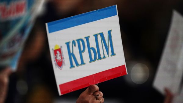 Плакат в руке журналистки Плакат в руке журналистки