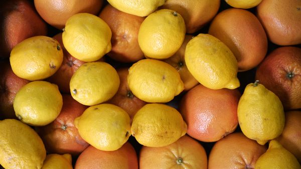 Продажа продуктов из Сирии в Москве