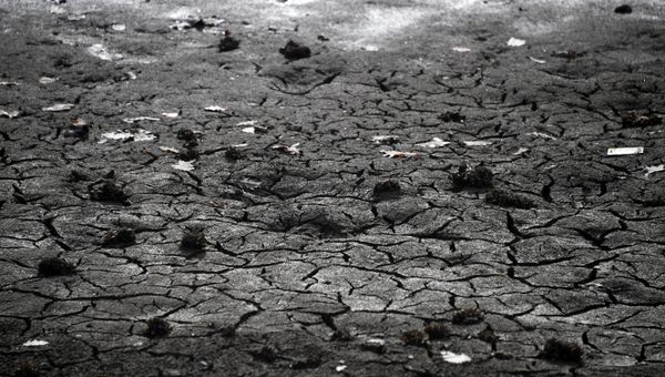 Партизанское водохранилище